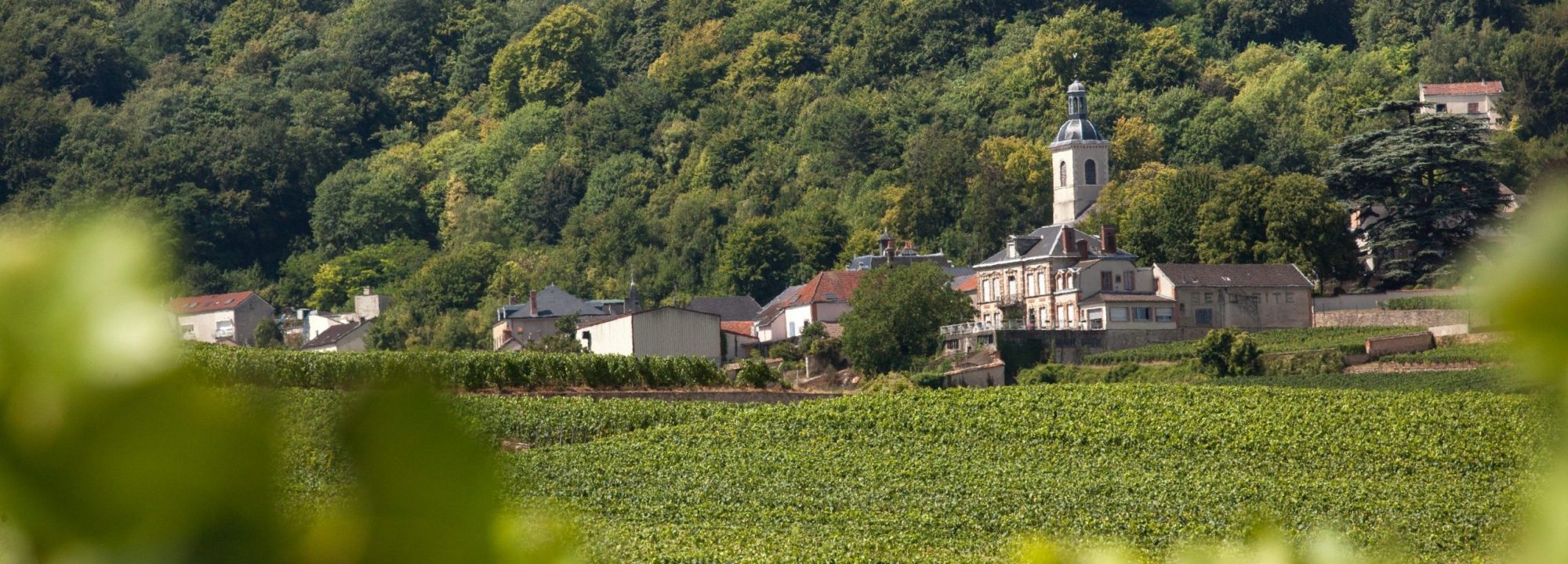 Our History - Respect for our historical Terroir <br />and quest for exceptional Champagnes.